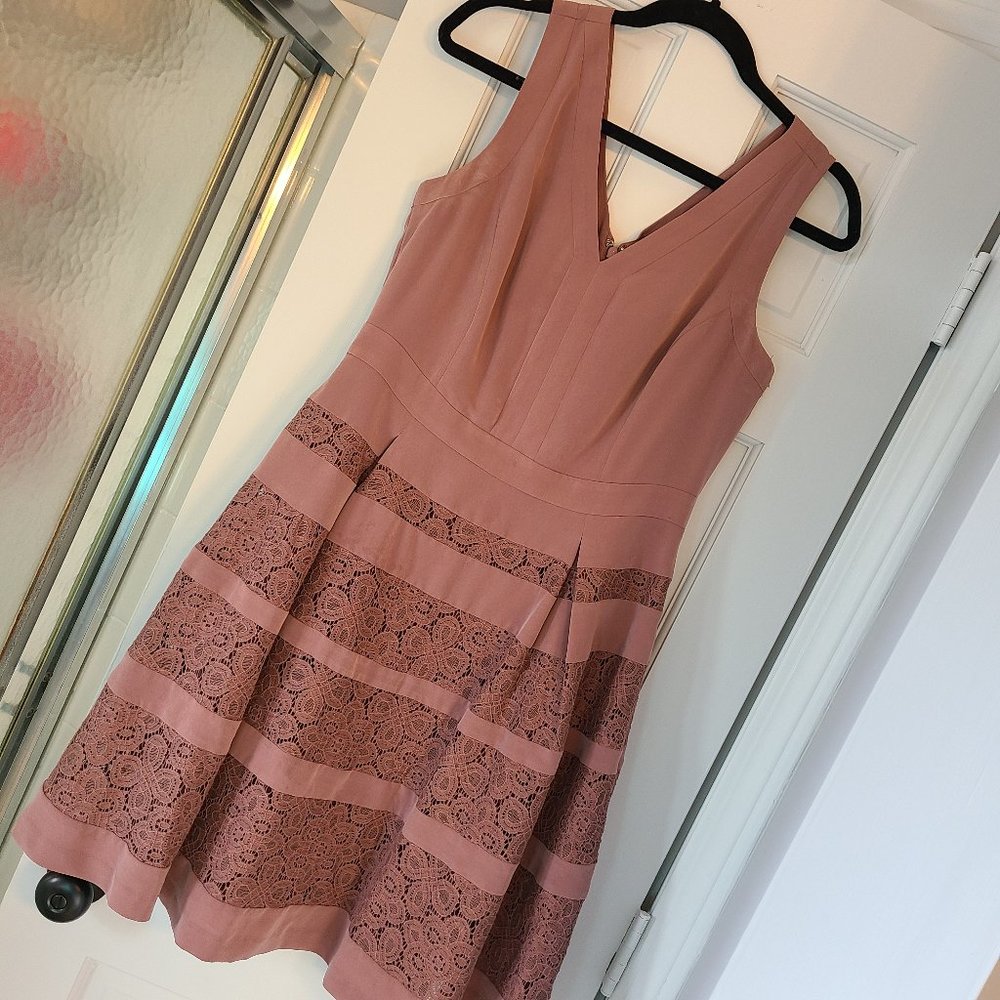 The Limited Lace Dress